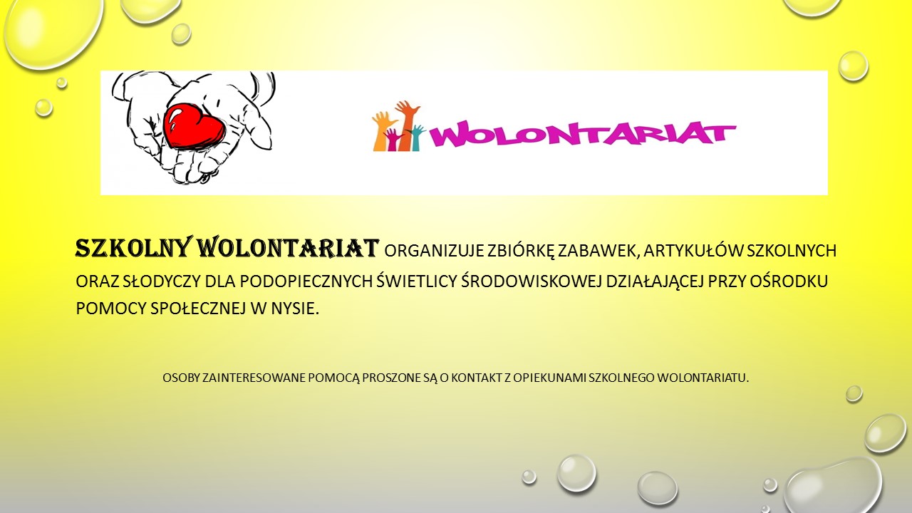 wolontariat 171